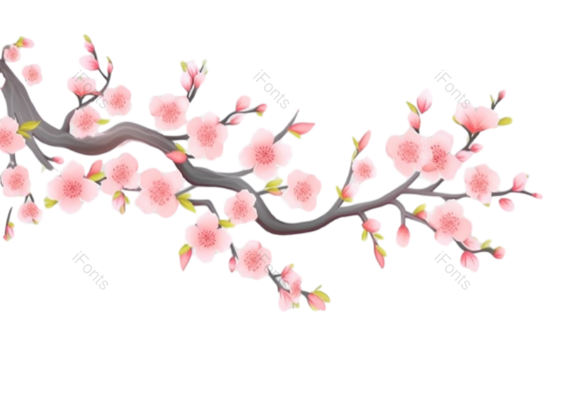 叶子图片,装饰元素,元素PNG,清新免抠素材